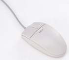 computer mouse